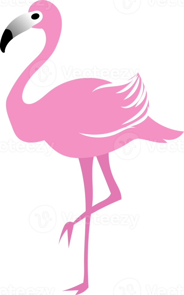 Pink Famingo Bird Flat Icon Design png