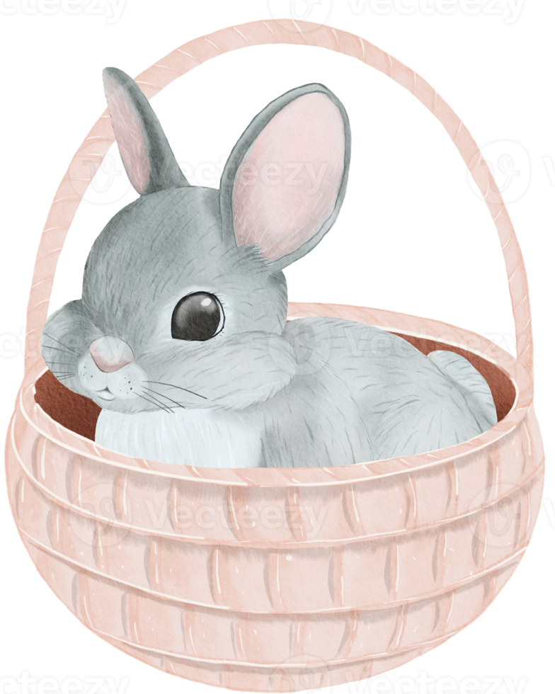 Conejo en cesta pastel acuarela estilo png