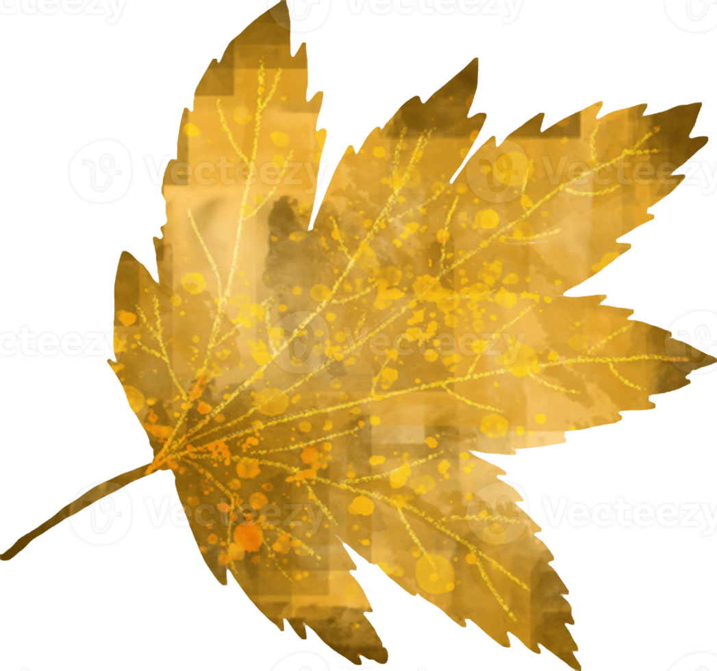 Watercolor Autumn Leaves Clipart - Fall Leaves - Leaf Variety png