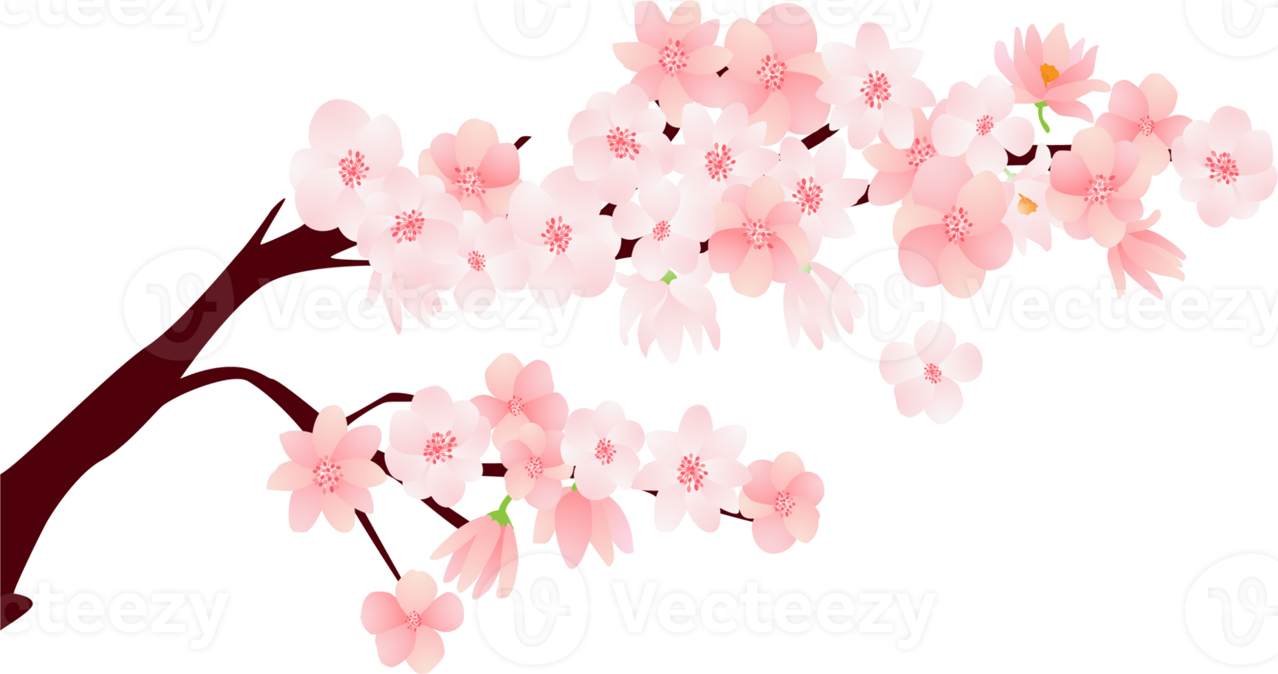 Bunch of flowers with Cherry blossom cartoon character png