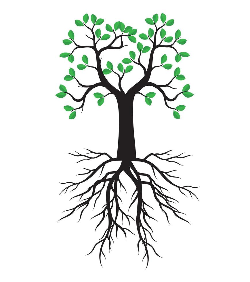 Green spring Tree wth Roots. Vector Illustration.