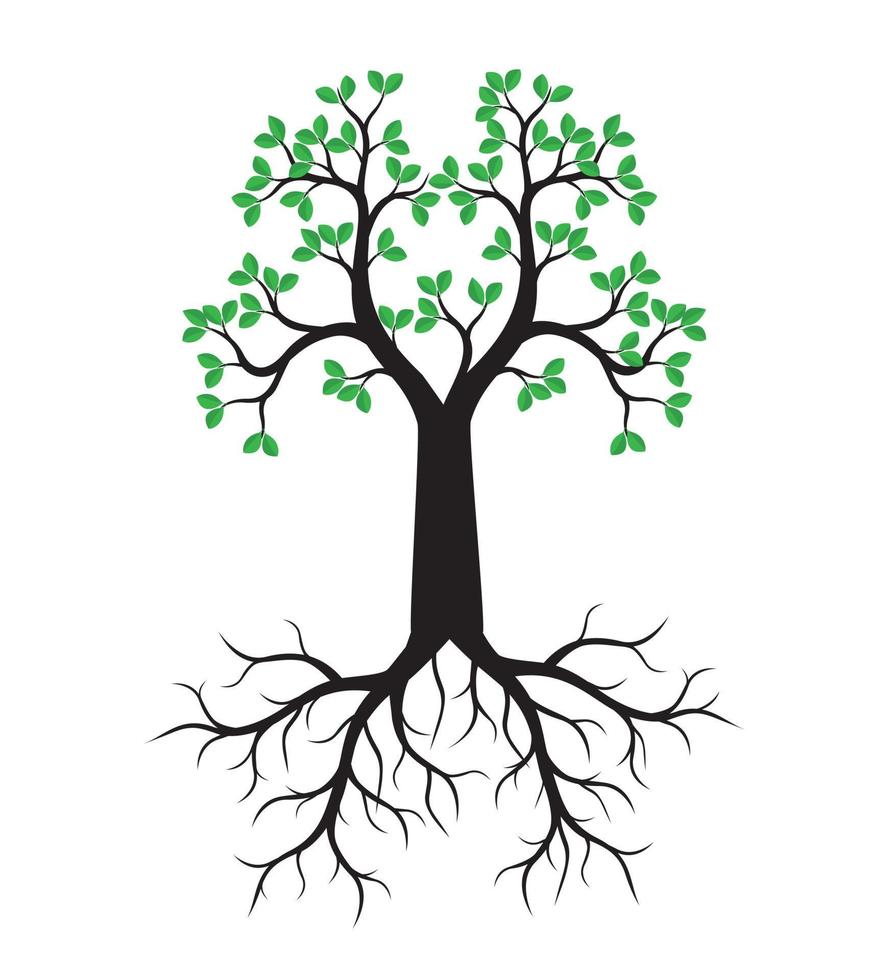 Green spring Tree wth Roots. Vector Illustration.