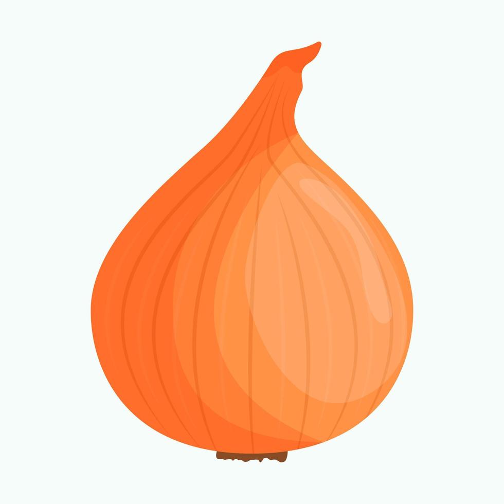 Whole onion isolated on background. Flat vector illustration.