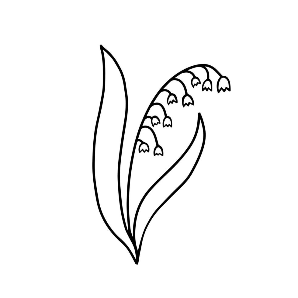 lily of the valley, spring flower, May lily line icon. Illustration for printing, backgrounds, covers, packaging, greeting cards, posters, stickers and textile. Isolated on white background. vector