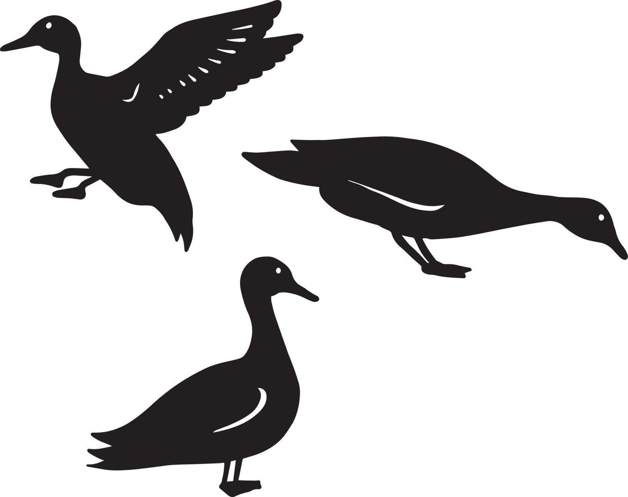 a collection of duck illustrations in various positions vector