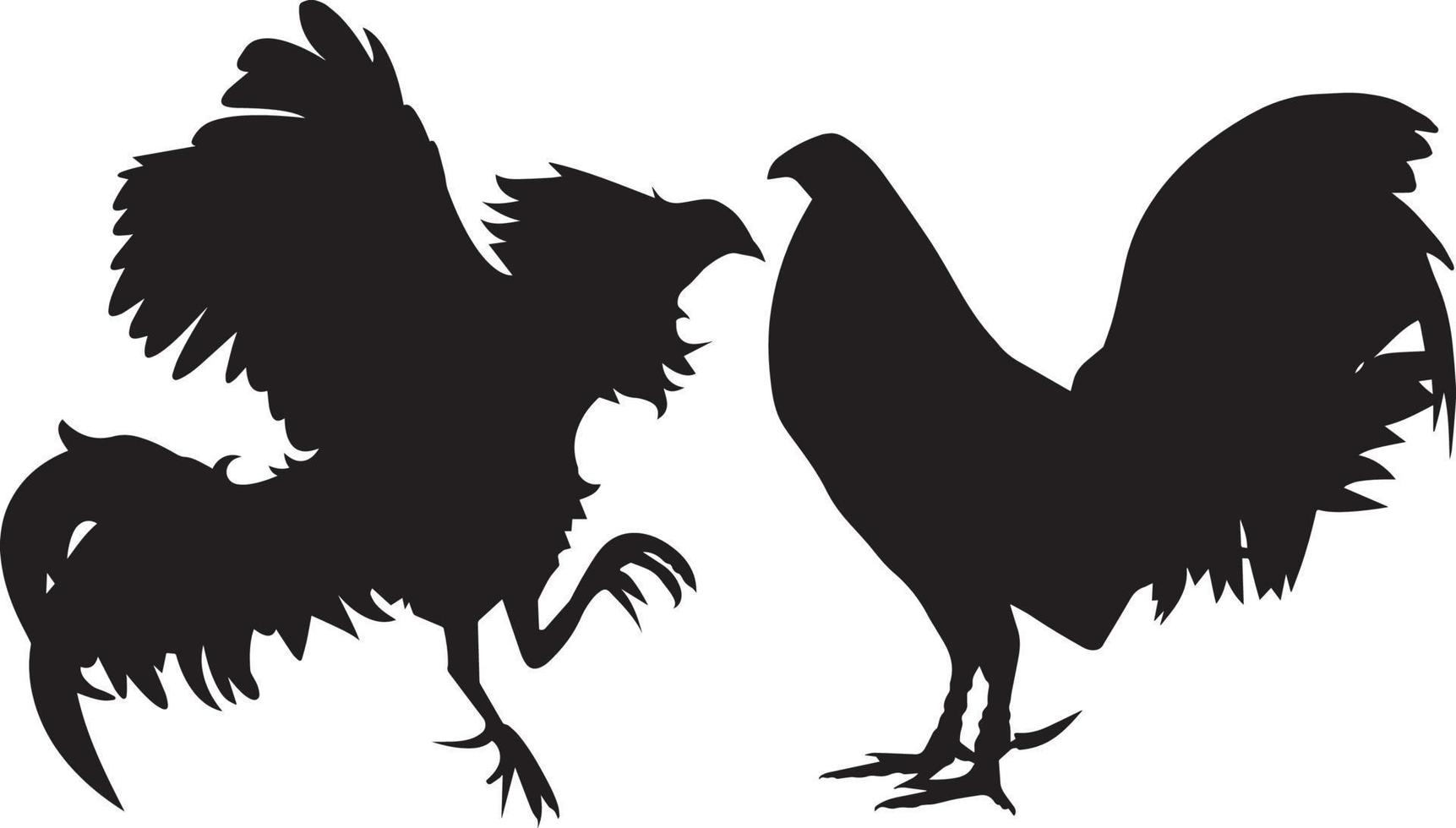 negro y blanco pollo vector ilustración