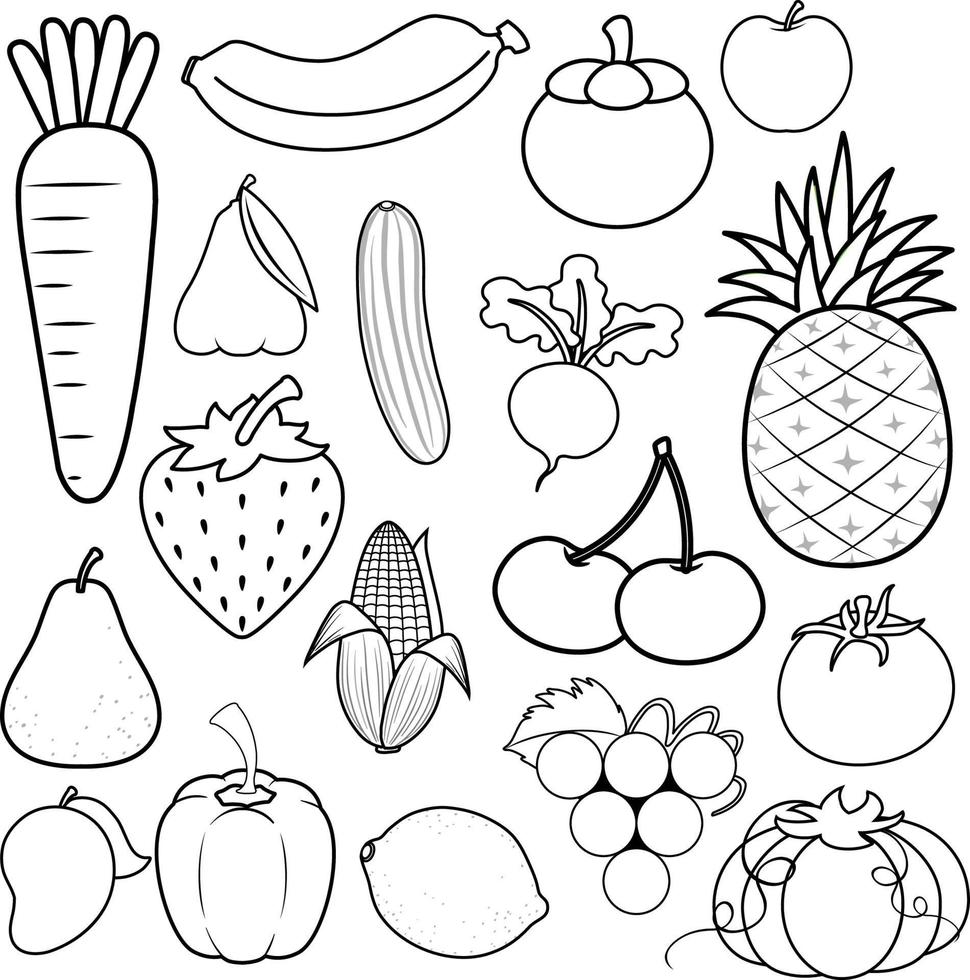 A set of doodle about fruit on white background vector