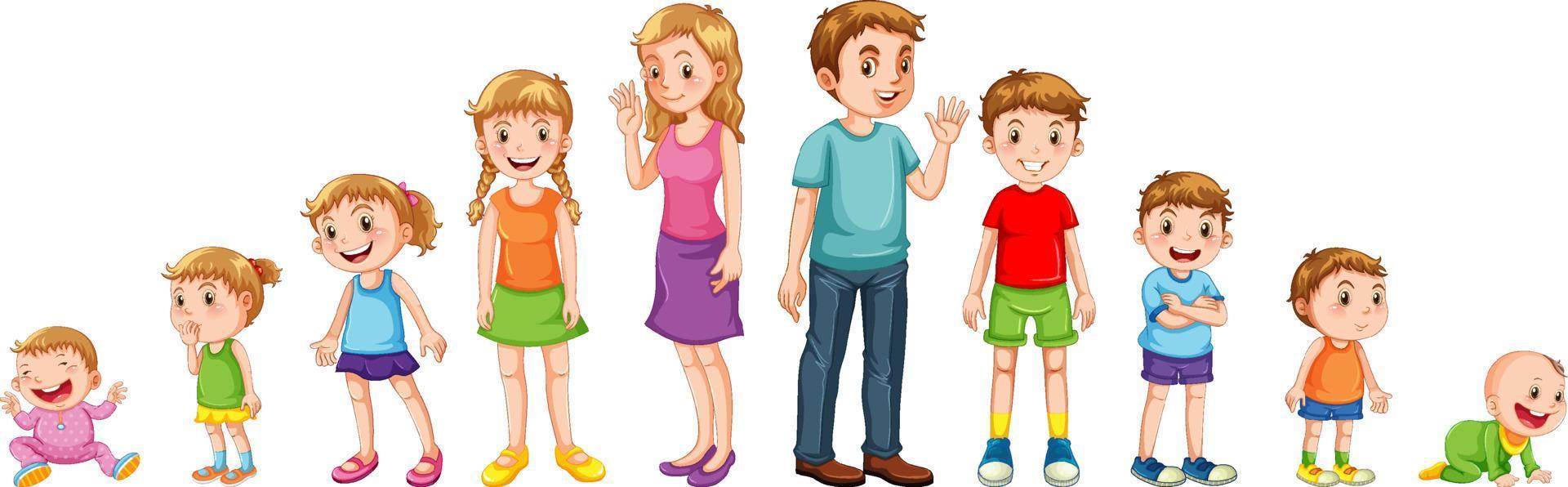 niños en diferentes etapas vector