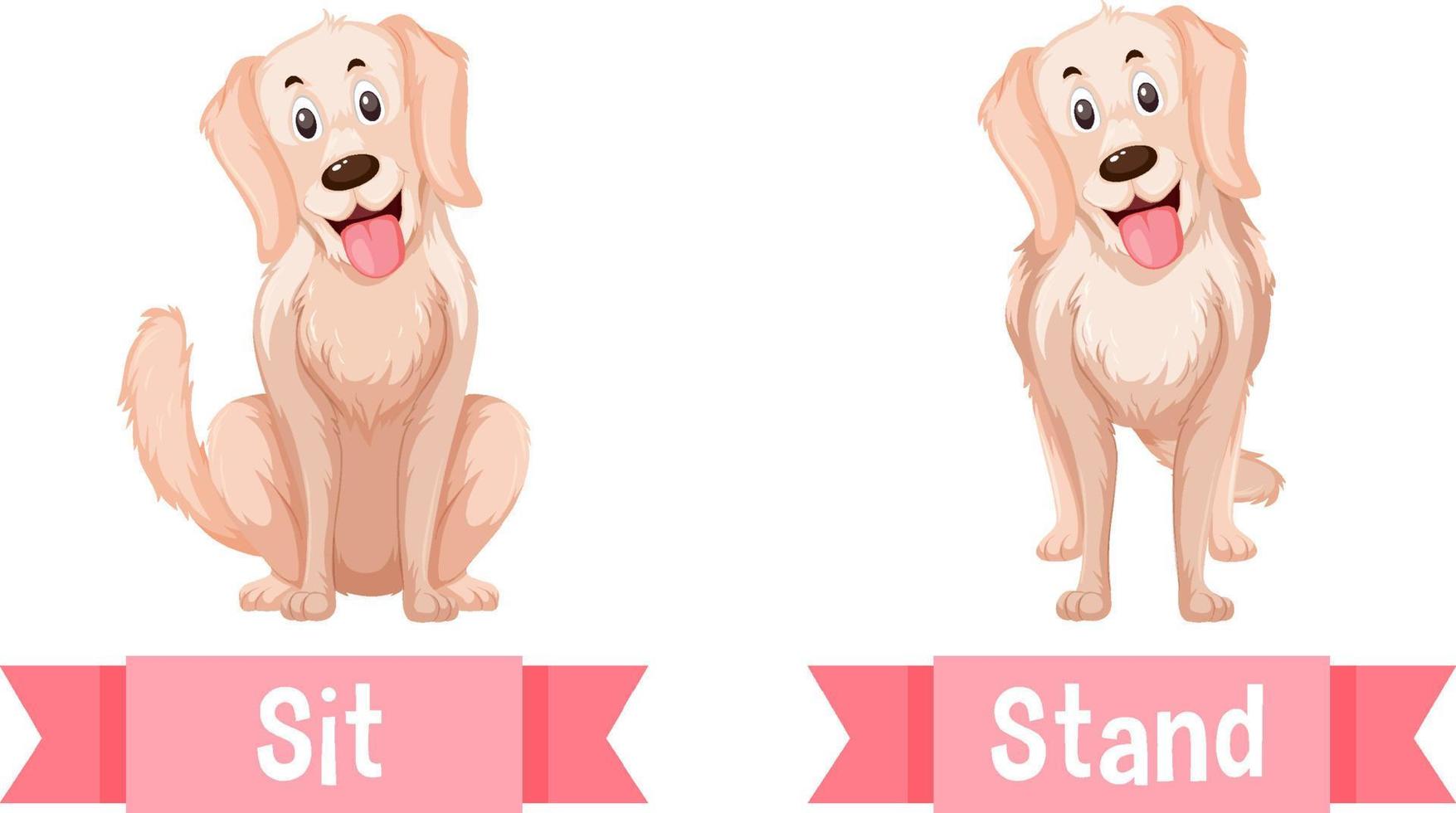 Opposite English Words sit and stand vector