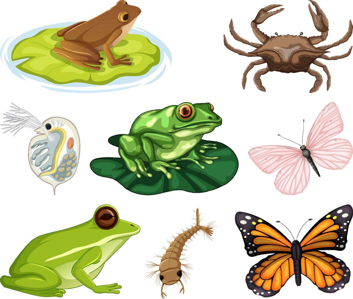 Different kinds of insects and animals on white background vector