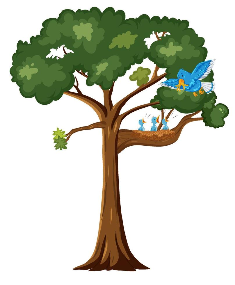 azul pájaro y polluelos en el árbol vector
