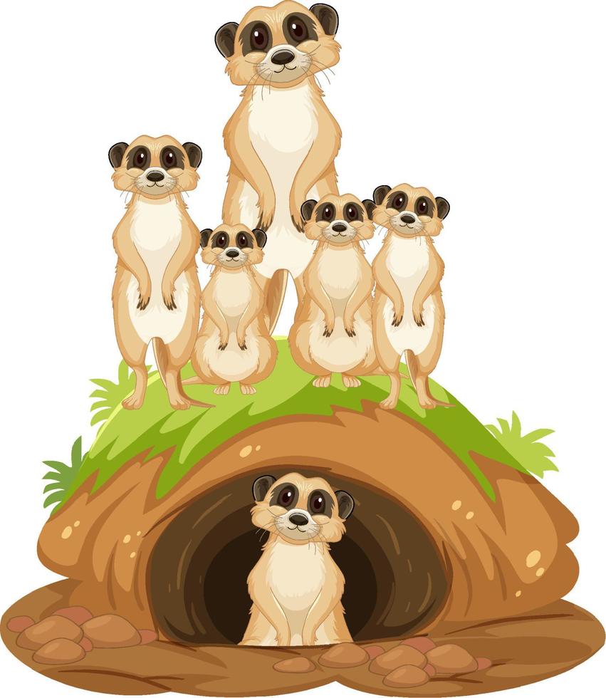 Group of meerkats with burrow in cartoon style vector