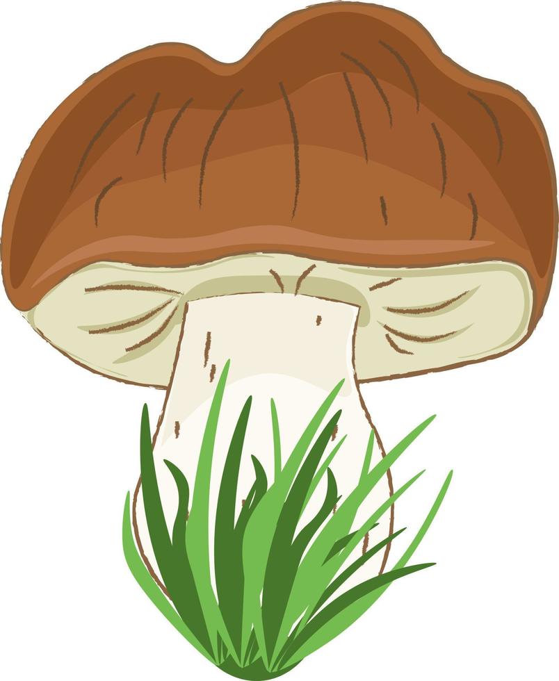 mushroom on white background vector