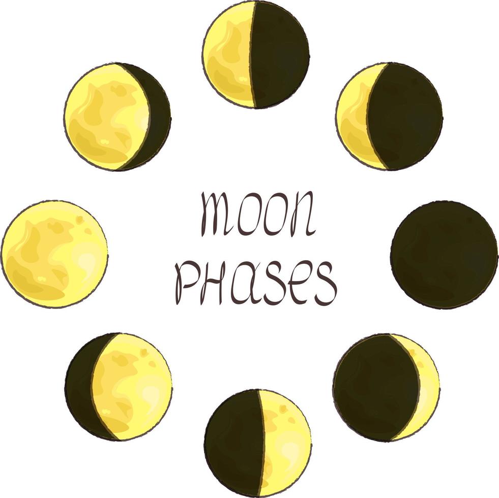 phases of the moon vector