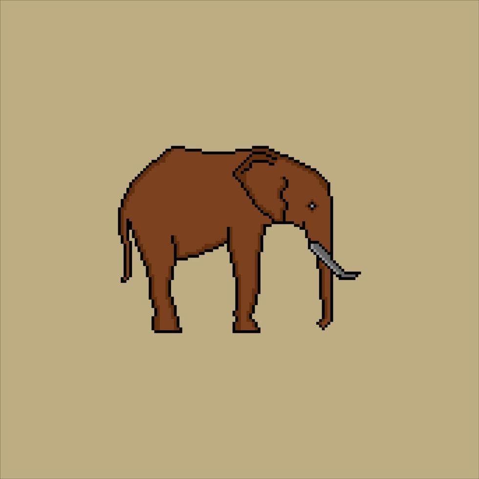 Elephant vector illustration  with pixel art .