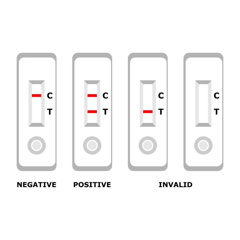 rápido antígeno prueba equipo atk covid-19 negativo positivo y inválido en blanco antecedentes plano vector icono diseño