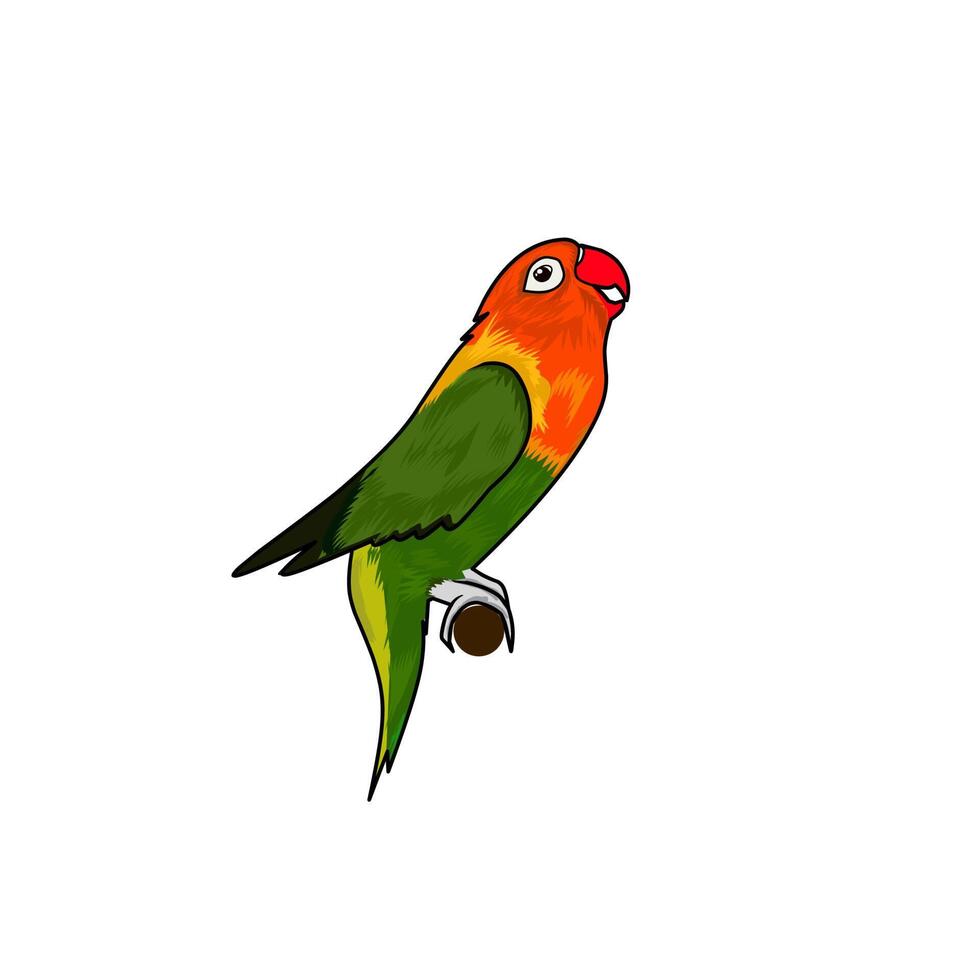 Illustration vector graphic of lovebird. Perfect for bird team logo.