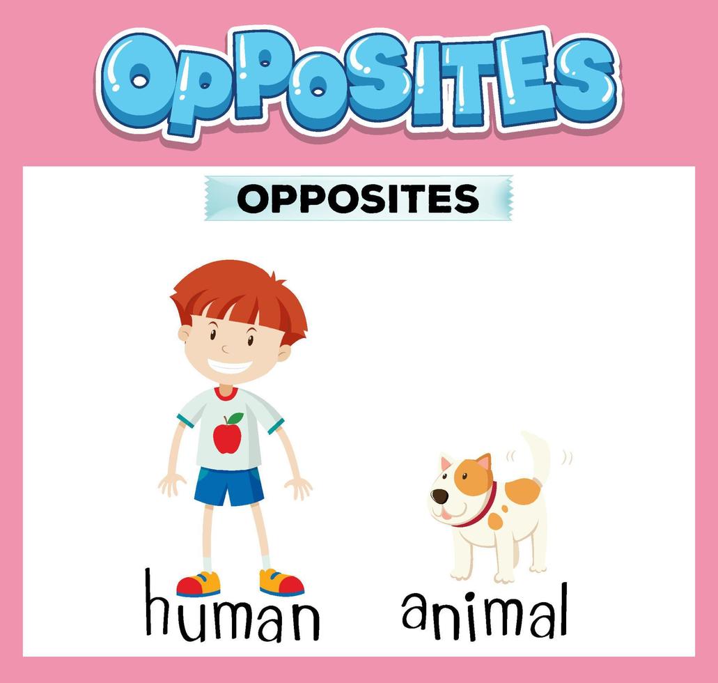 Opposite English words for kids vector