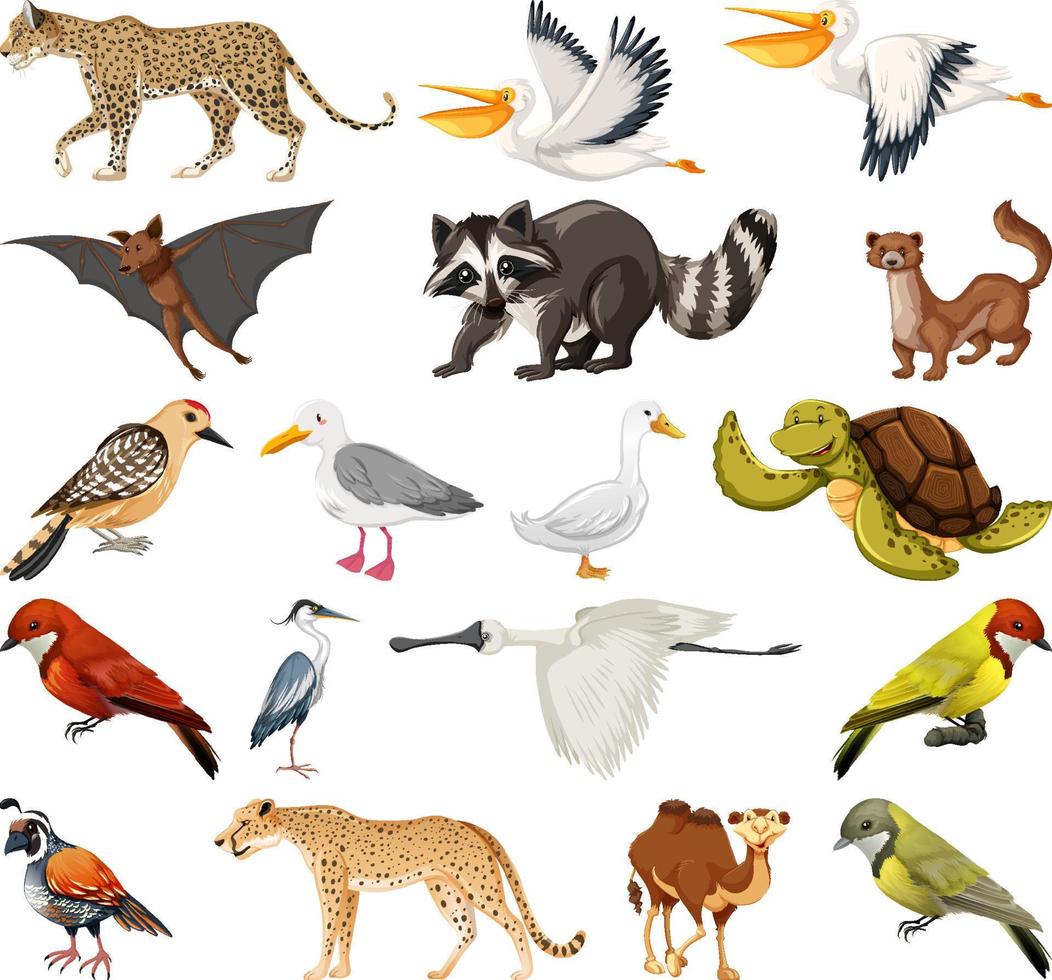 colección de diferentes tipos de animales vector