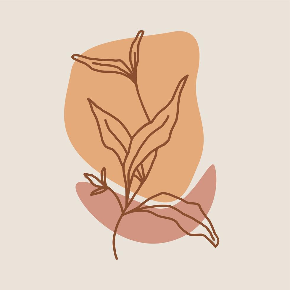 hand drawn line flower vector