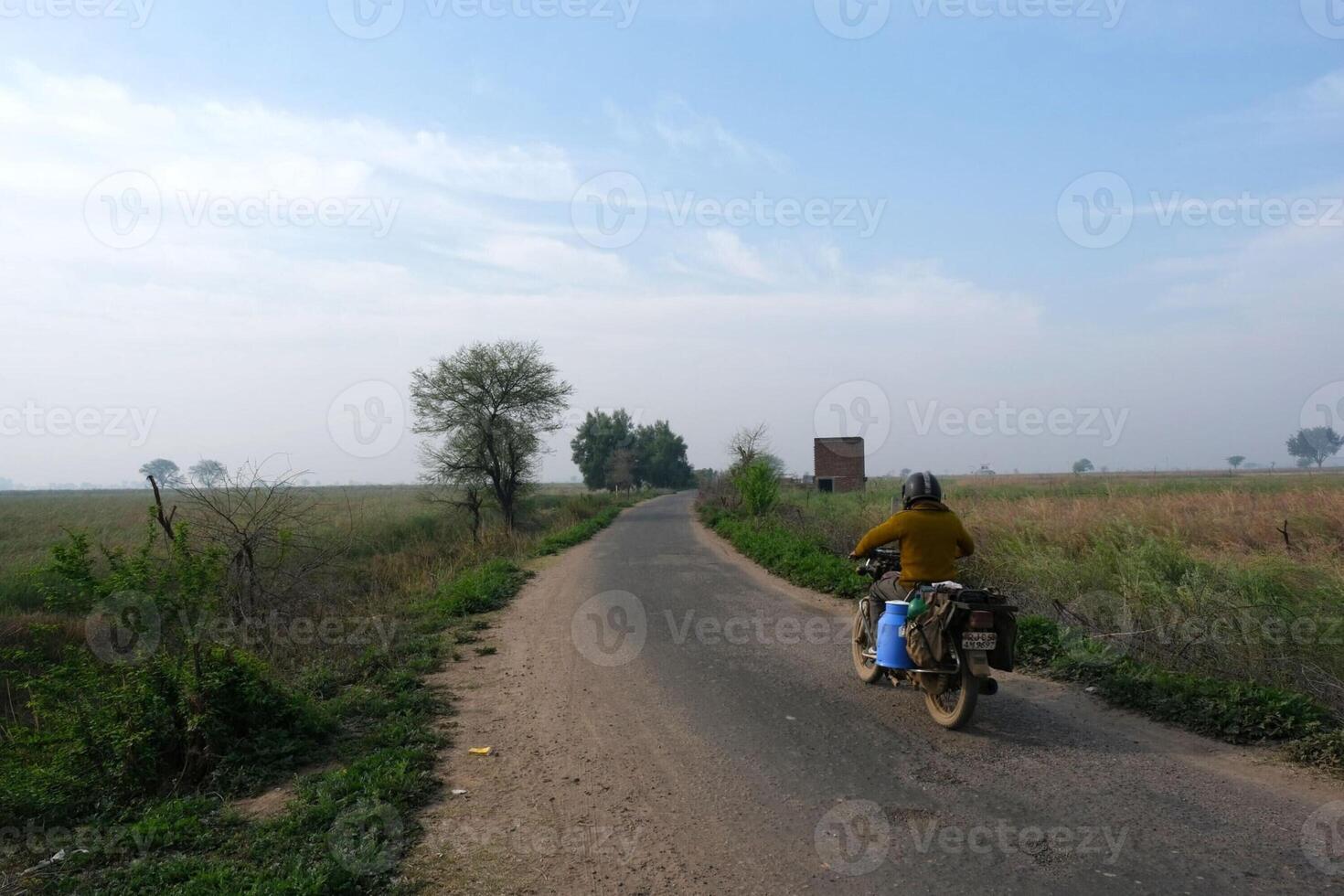 Seed Harvest As Vegetable Oils Prices Rise photo