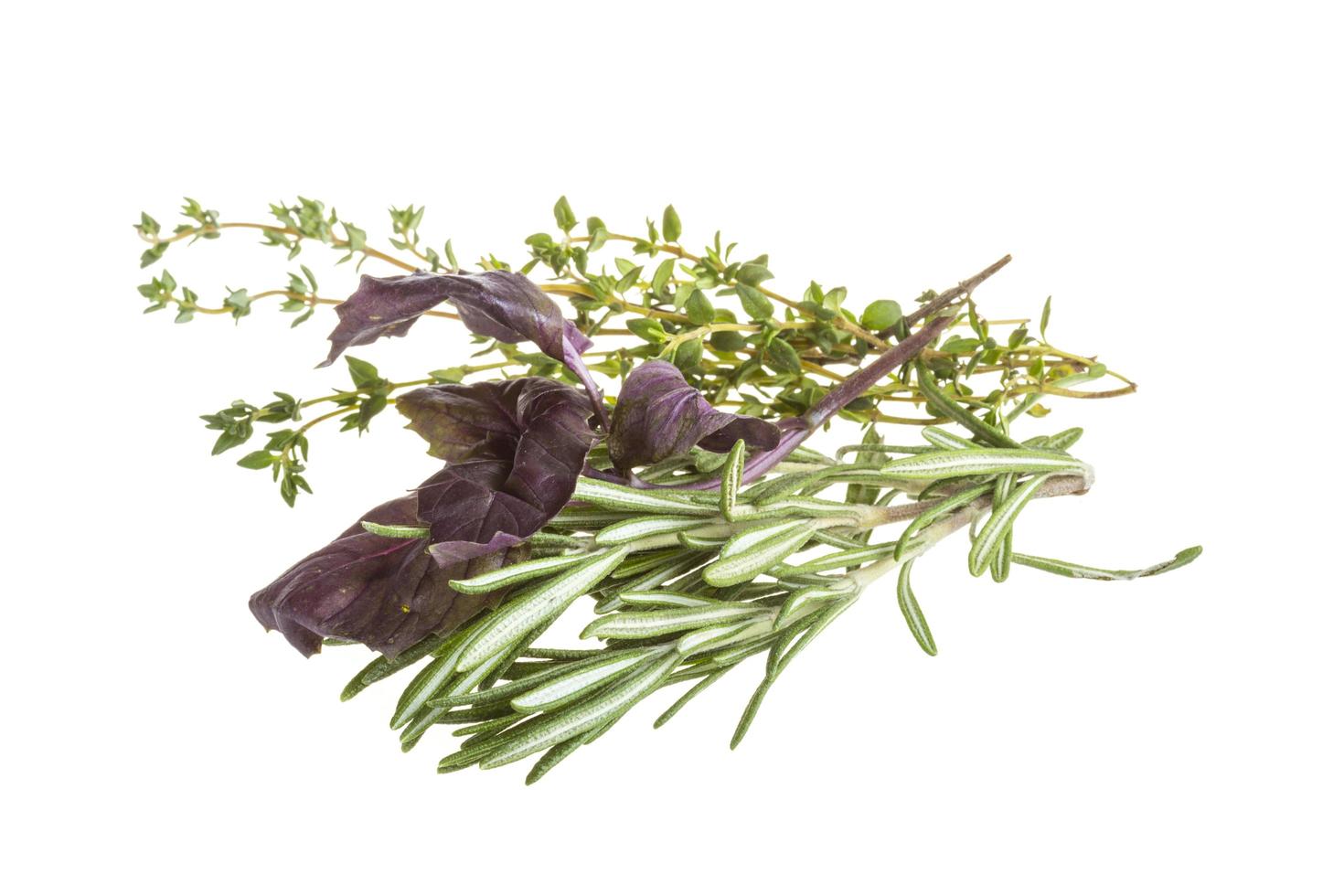 Herbs on white photo
