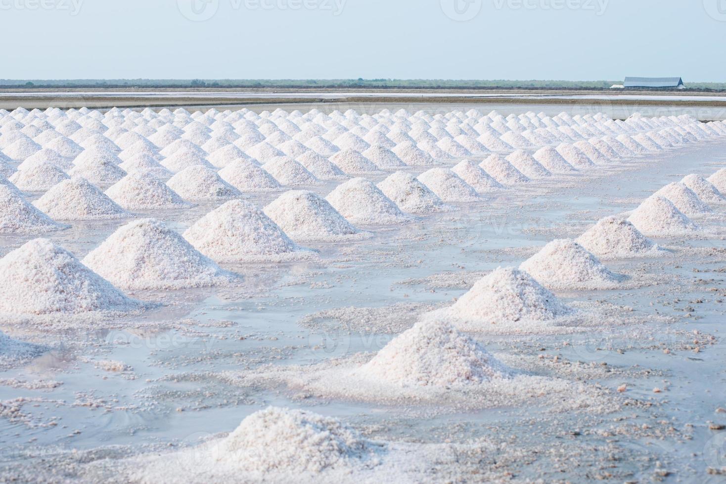 Mass of salt in the salt sea salt farm photo