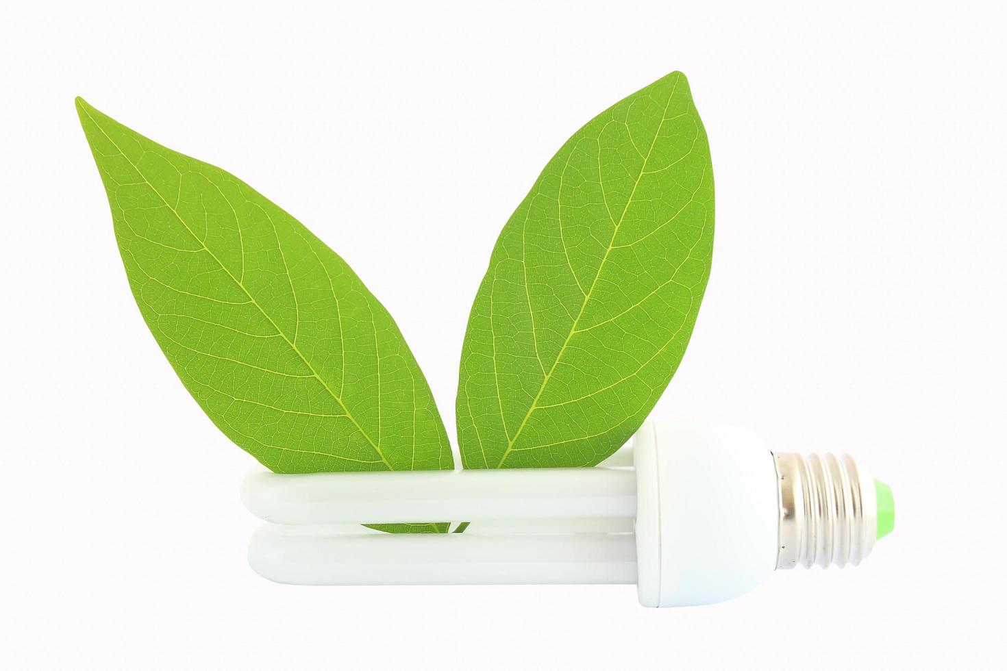 Energy saving lamp with green leaf on white photo