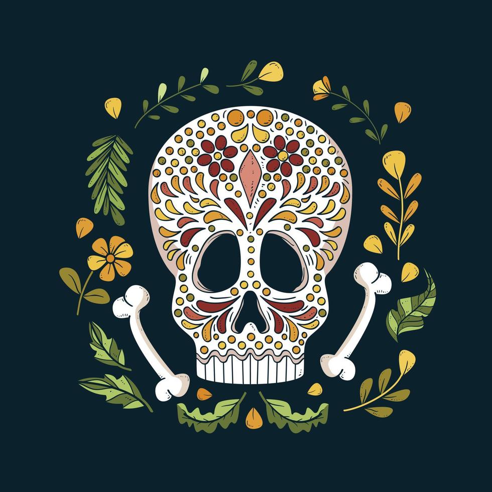 Anatomically correct human skulls set, Hand drawn line art vector