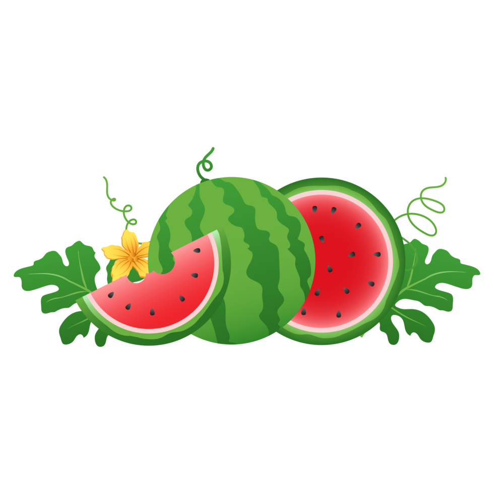 Watermelon fruit, Watermelon slices png