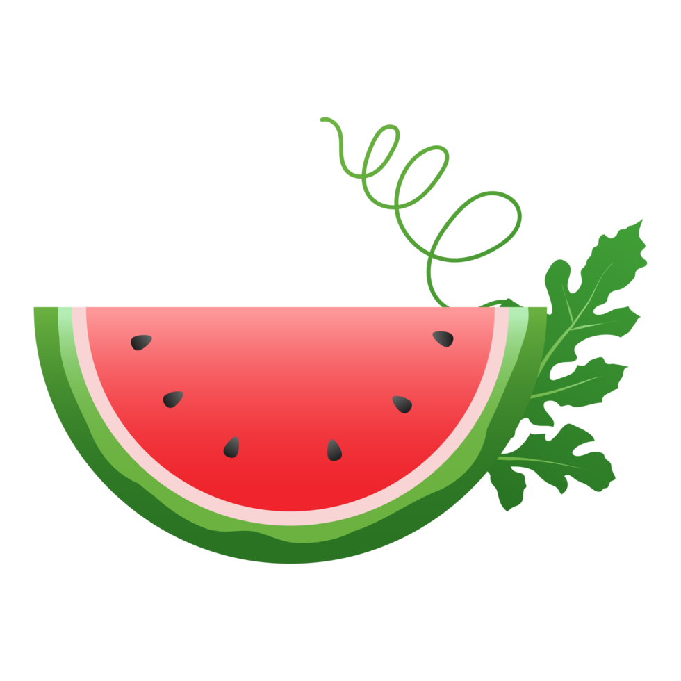 Watermelon fruit, Watermelon slices png