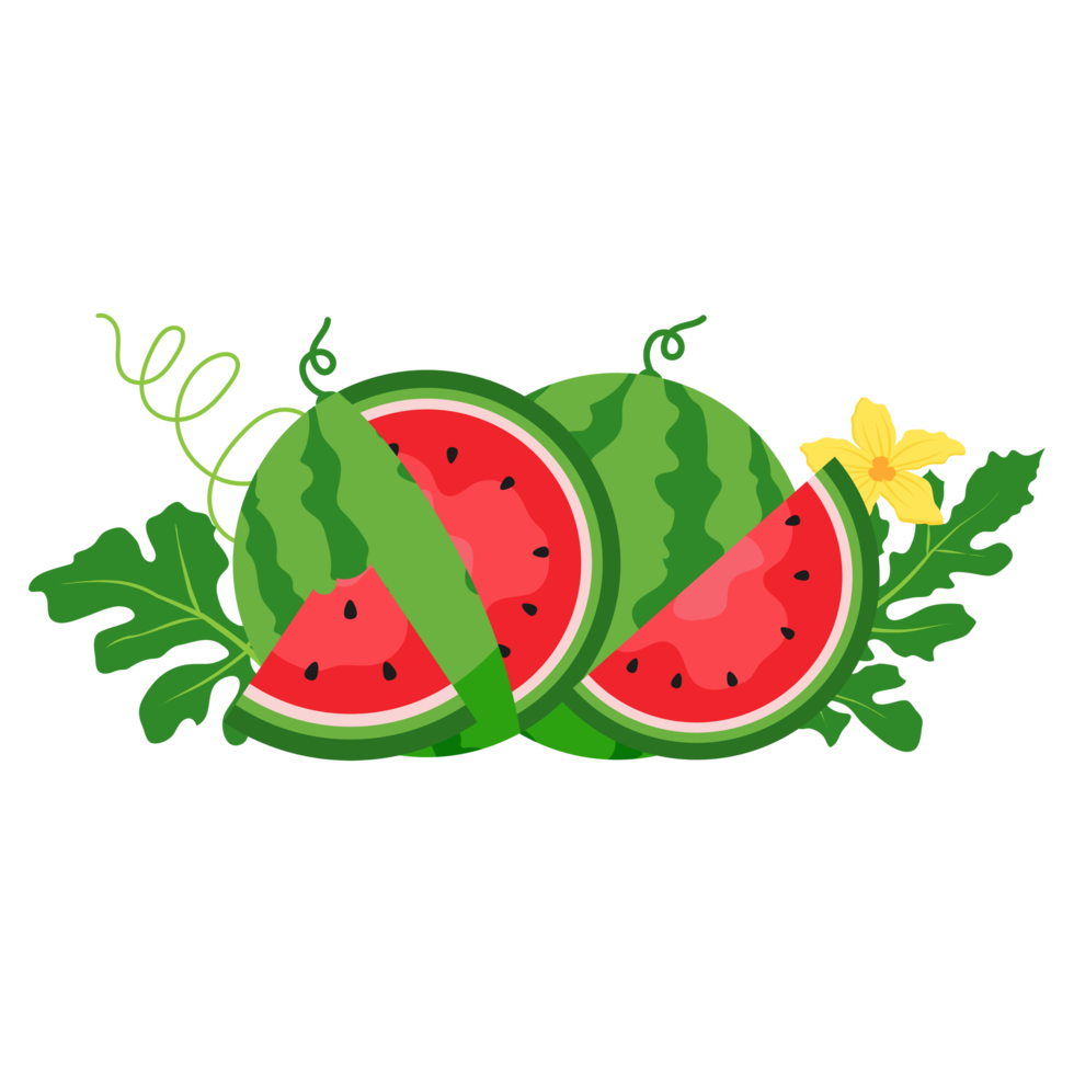 Watermelon fruit, Watermelon slices png