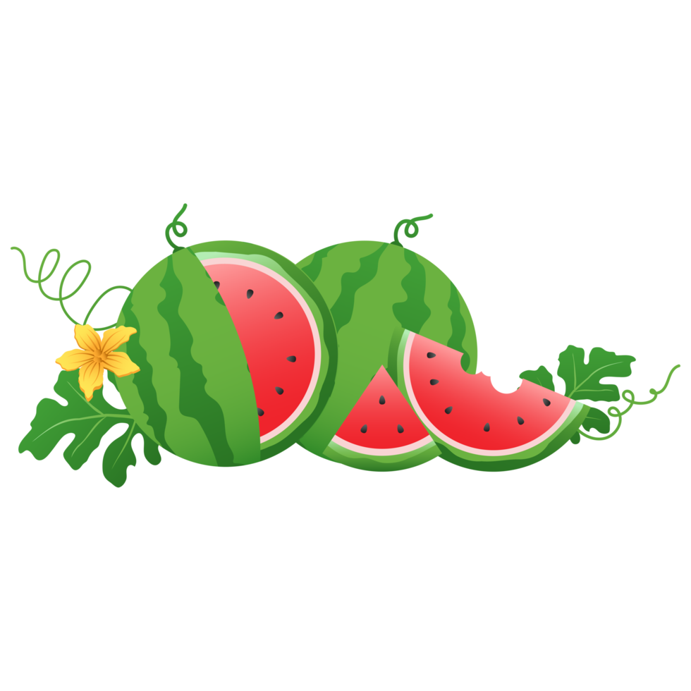 Watermelon fruit, Watermelon slices png