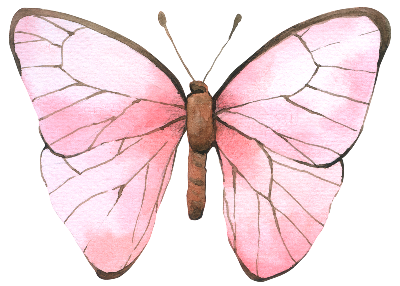 vlinder aquarel handverf png