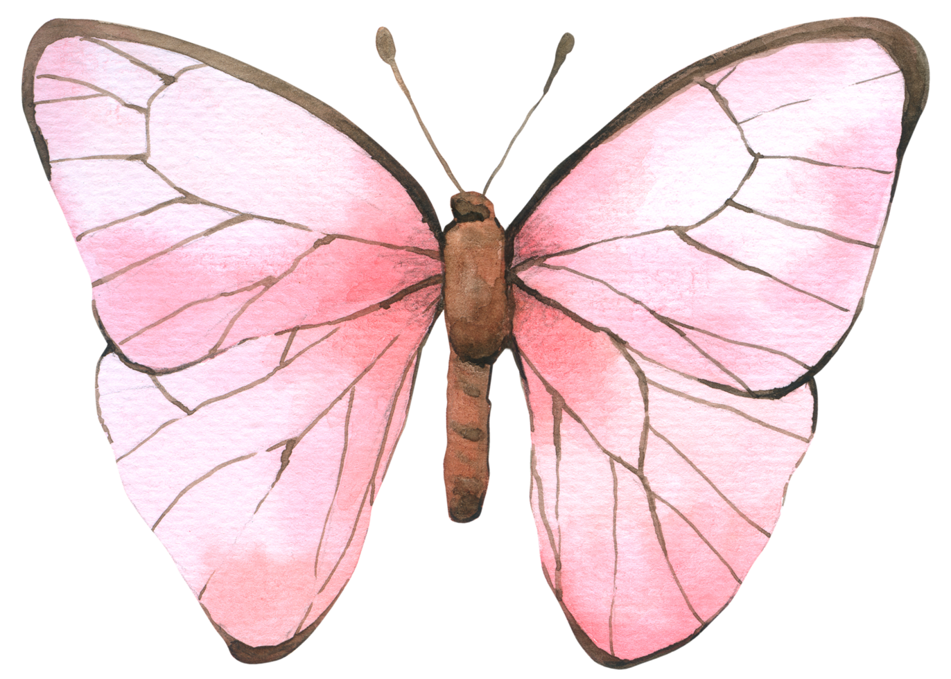 Butterfly watercolor hand paint png