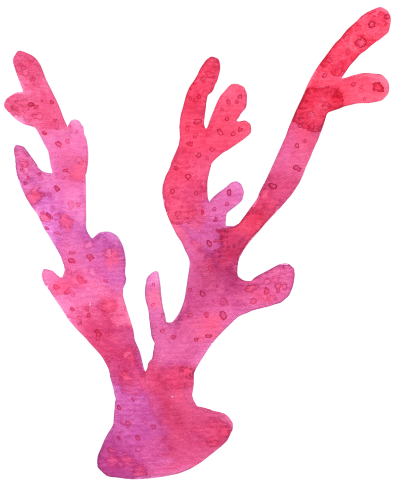 coral watercolor hand paint png