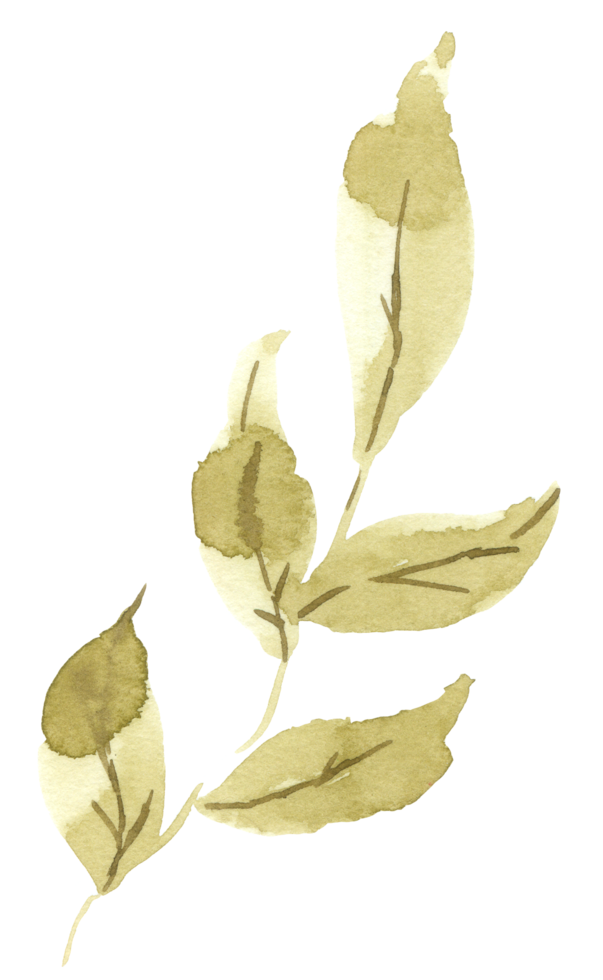 Green Leaf Element watercolor png