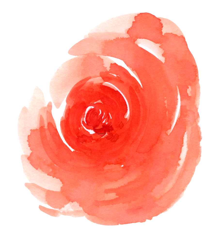 élément de fleur fleur de mariage aquarelle png