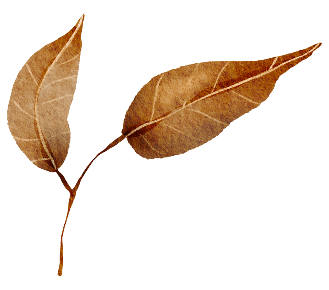 Free acuarela de flores y hojas de otoño 19857730 PNG with Transparent Background Free acuarela de flores y hojas de otoño 19857730 PNG with Transparent Background