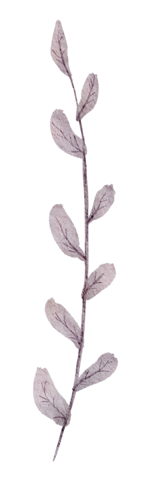 blad element akvarell png