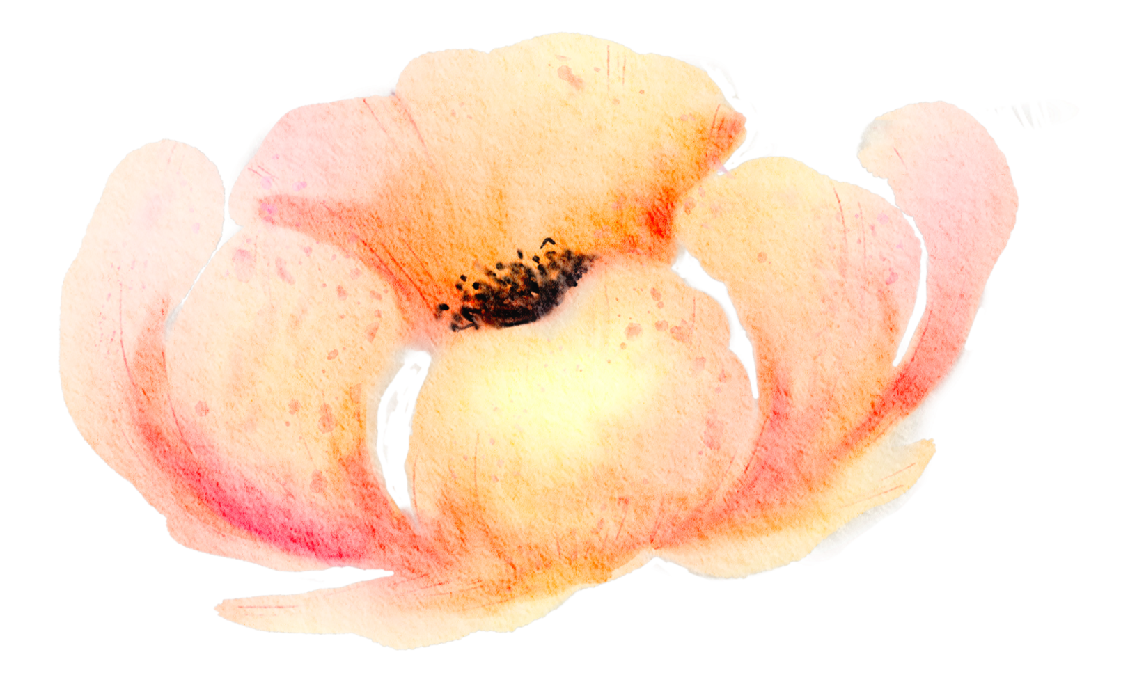 bloem element aquarel bruiloft bloem png