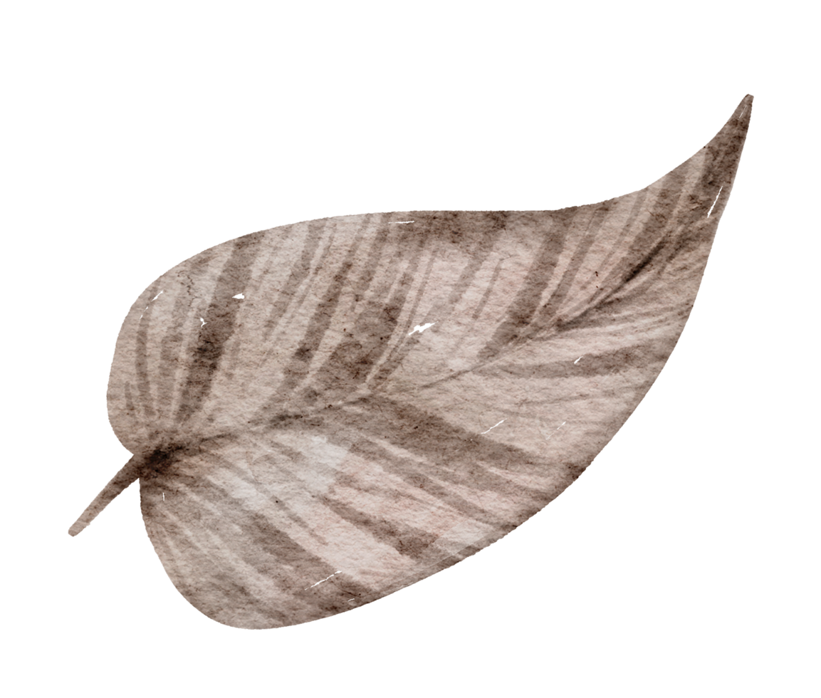 Leaf Element watercolor png