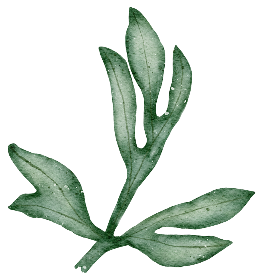 acuarela de elemento de hoja png