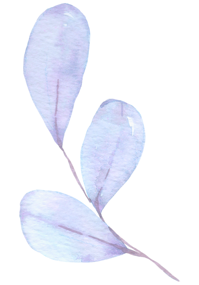 aquarelle élément feuille png