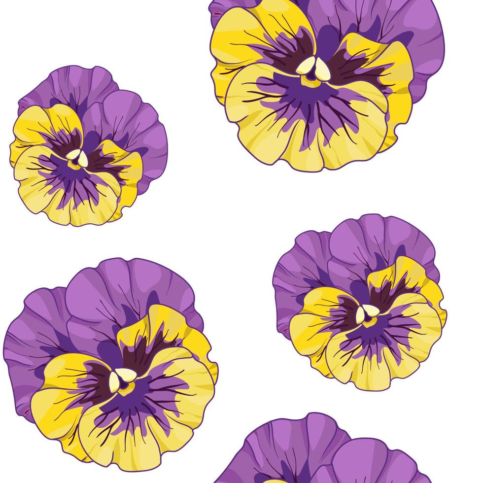 blue  and purple pansy . Seamless vector pattern. Hand drawing flowers  vector illustration.