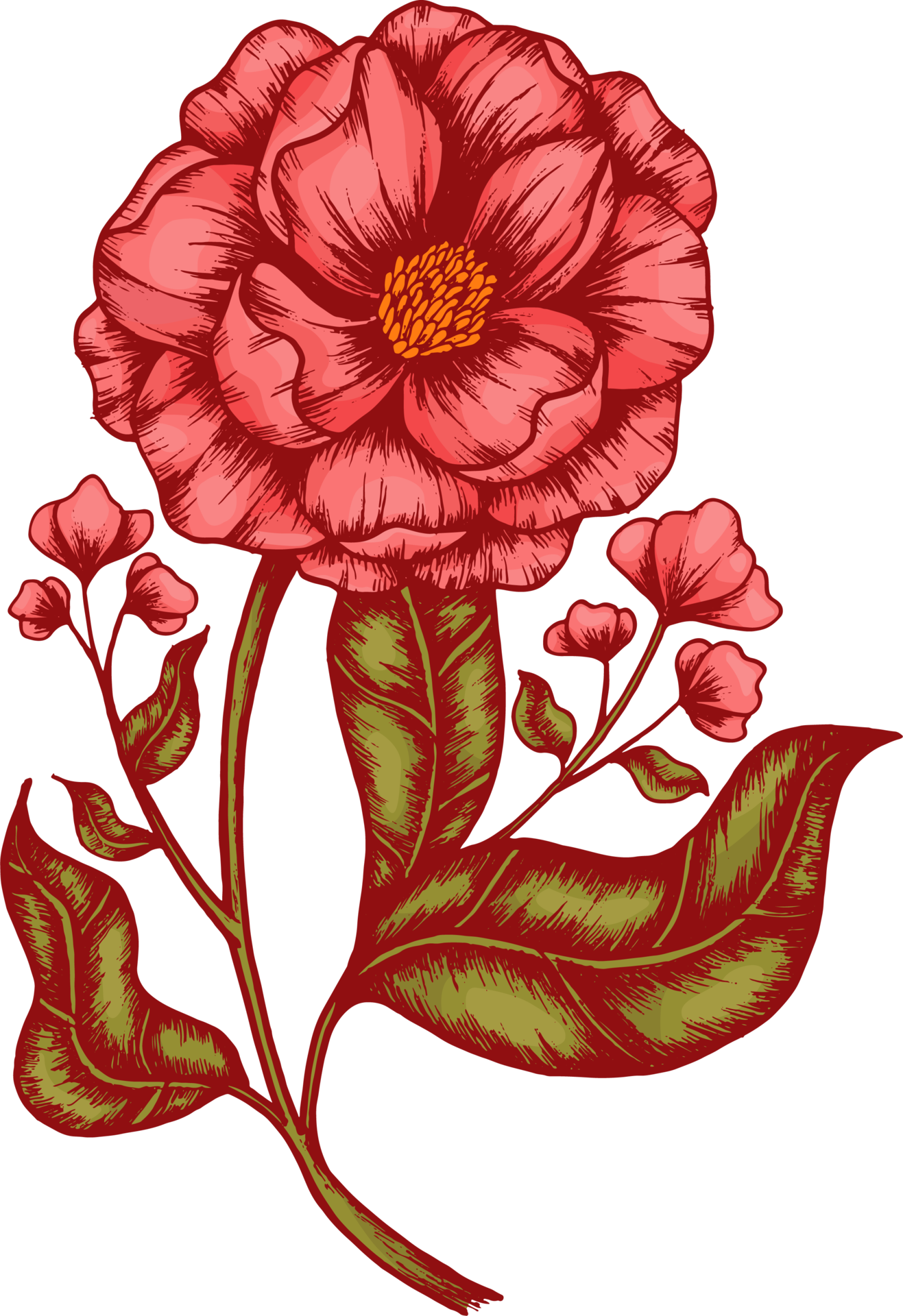 hand zeichnen skizze blume und blatt 19857940 PNG hand zeichnen skizze blume und blatt 19857940 PNG