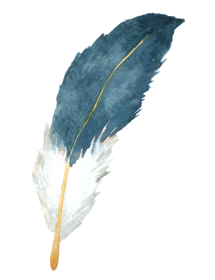 Feather watercolor hand paint png