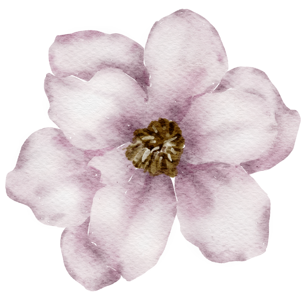 blomma element akvarell bröllop blomma png