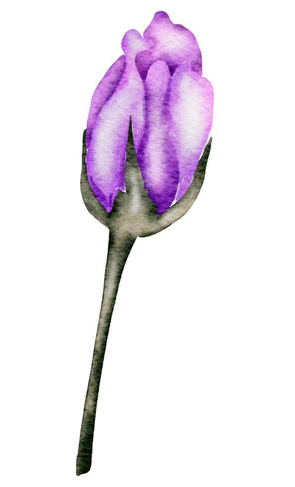 élément de fleur fleur de mariage aquarelle png