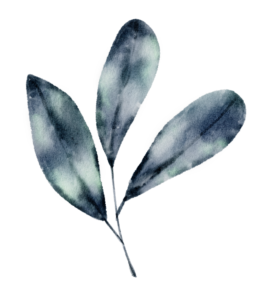 aquarelle élément feuille verte png